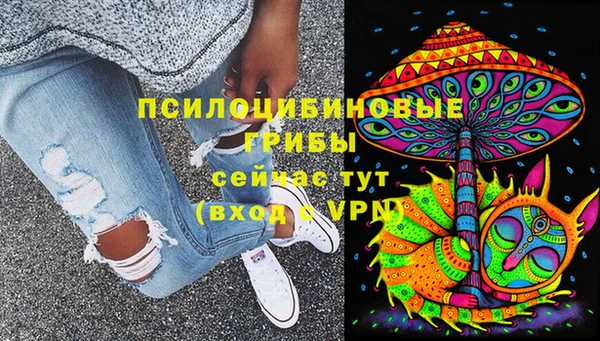 винт Армянск