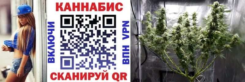 Канабис сатива Берёзовка